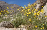 _73A1592.jpg _73A1592.jpg