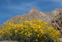 _73A1616.jpg _73A1616.jpg