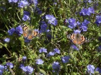 _73A1629.jpg _73A1629.jpg