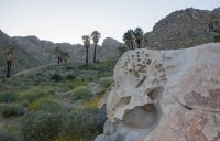 _73A1981.jpg _73A1981.jpg