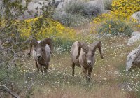 _73A2067.jpg _73A2067.jpg