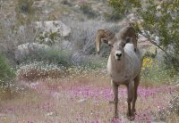 _73A2077.jpg _73A2077.jpg