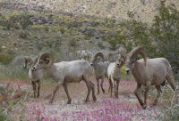 _73A2082.jpg _73A2082.jpg