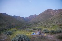 _73A1983.jpg _73A1983.jpg