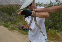 _73A2026.jpg _73A2026.jpg