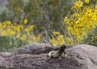 _73A2258.jpg _73A2258.jpg