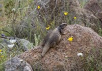 _73A2290.jpg _73A2290.jpg