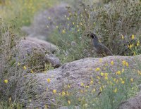 _73A2313.jpg _73A2313.jpg