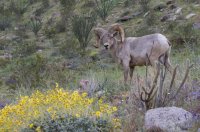 _73A2334.jpg _73A2334.jpg