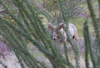 _73A2346.jpg _73A2346.jpg