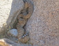 _73A2398.jpg _73A2398.jpg