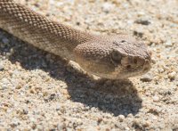 _73A2402.jpg _73A2402.jpg