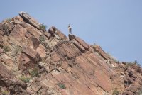 _73A2477.jpg _73A2477.jpg