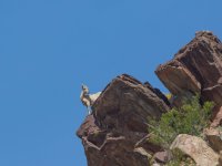 _73A2564.jpg _73A2564.jpg