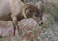 _73A2092.jpg _73A2092.jpg