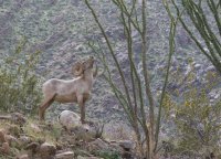 _73A2160.jpg _73A2160.jpg