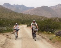 IMG_5334.jpg IMG_5334.jpg