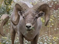 _73A2059.jpg _73A2059.jpg