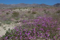 _73A1502.jpg _73A1502.jpg