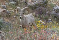 _73A2106.jpg _73A2106.jpg