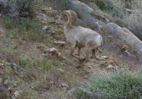 _73A2113.jpg _73A2113.jpg