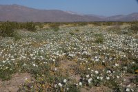 _73A1856.jpg _73A1856.jpg