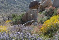 _73A1951.jpg _73A1951.jpg