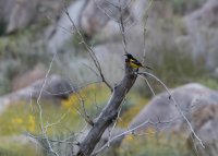 _73A1963.jpg _73A1963.jpg