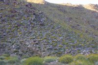 _73A1967.jpg _73A1967.jpg