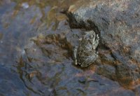 _73A1999.jpg _73A1999.jpg