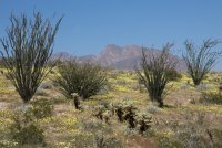 _73A1925.jpg _73A1925.jpg