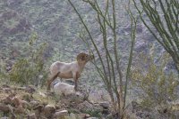 _73A2155.jpg _73A2155.jpg