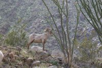 _73A2159.jpg _73A2159.jpg