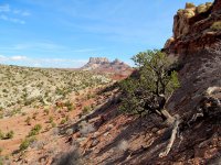 IMG_5834.JPG IMG_5834.JPG