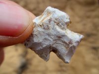 IMG_5856.JPG IMG_5856.JPG