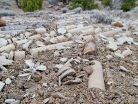 IMG_5881.JPG IMG_5881.JPG