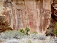 IMG_5886.JPG IMG_5886.JPG