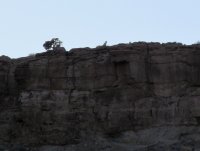 IMG_5924.JPG IMG_5924.JPG