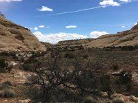 IMG_2209.JPG IMG_2209.JPG