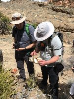 IMG_2203.JPG IMG_2203.JPG