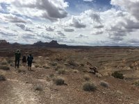 IMG_2224.JPG IMG_2224.JPG