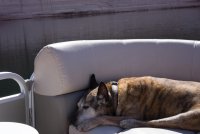 _DSC5668.jpg _DSC5668.jpg