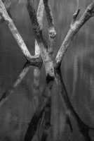 _DSC4990.jpg _DSC4990.jpg