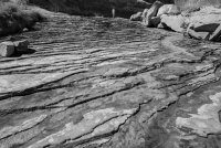 _DSC5153.jpg _DSC5153.jpg