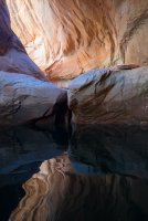 _DSC5231.jpg _DSC5231.jpg