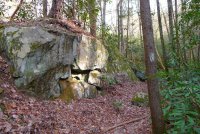 Trip 196 (310)-XL.jpg