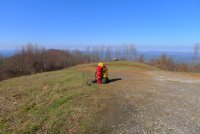 Trip 196 (333)-XL.jpg