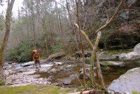 Trip 196 (405)-XL.jpg