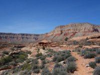 DSC00744.jpg DSC00744.jpg