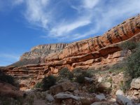 DSC00641.jpg DSC00641.jpg